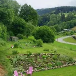 Lejlighed Le Logis Aux Digitales La Croix-aux-Mines