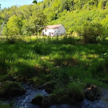 Le Logis Aux Digitales La Croix-aux-Mines