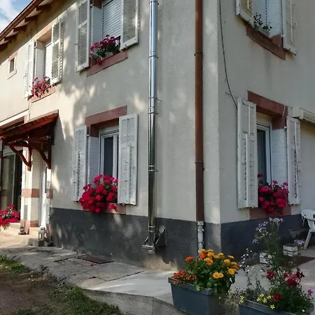 Le Logis Aux Digitales La Croix-aux-Mines