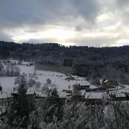 Le Logis Aux Digitales La Croix-aux-Mines