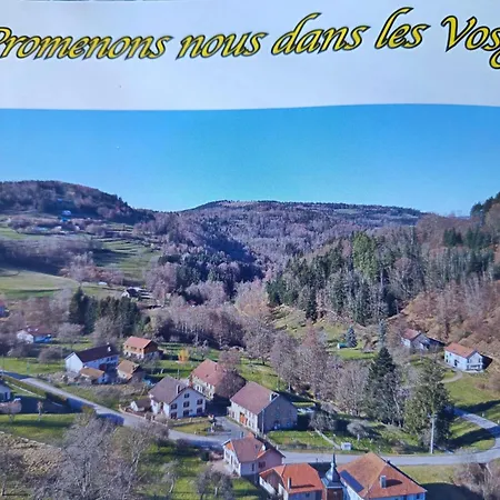 Le Logis Aux Digitales Lejlighed La Croix-aux-Mines