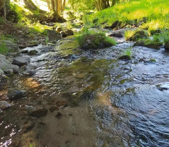 Le Logis Aux Digitales *