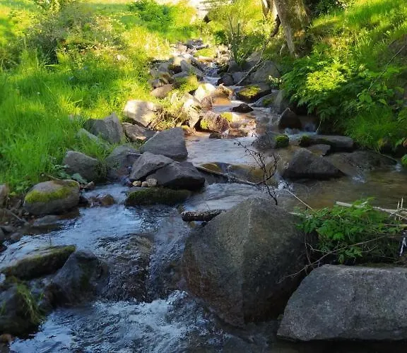 Le Logis Aux Digitales *