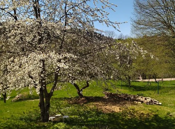 Le Logis Aux Digitales 公寓