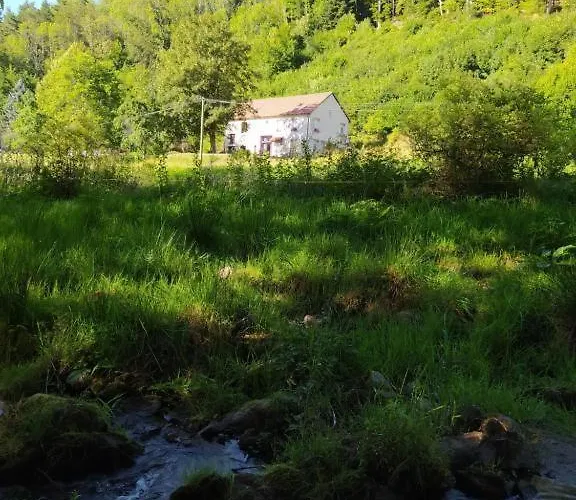 Le Logis Aux Digitales La Croix-aux-Mines
