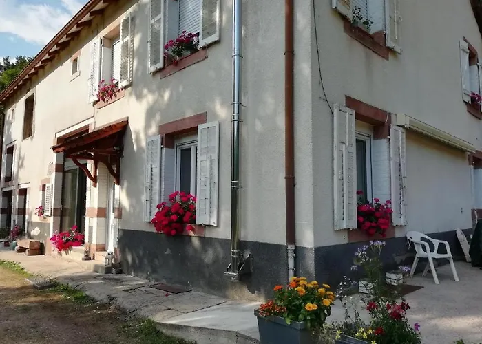 Le Logis Aux Digitales La Croix-aux-Mines