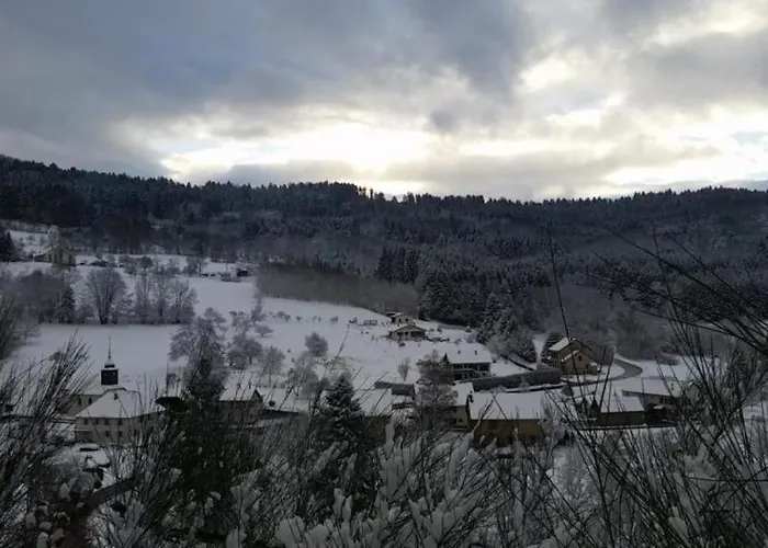Le Logis Aux Digitales La Croix-aux-Mines