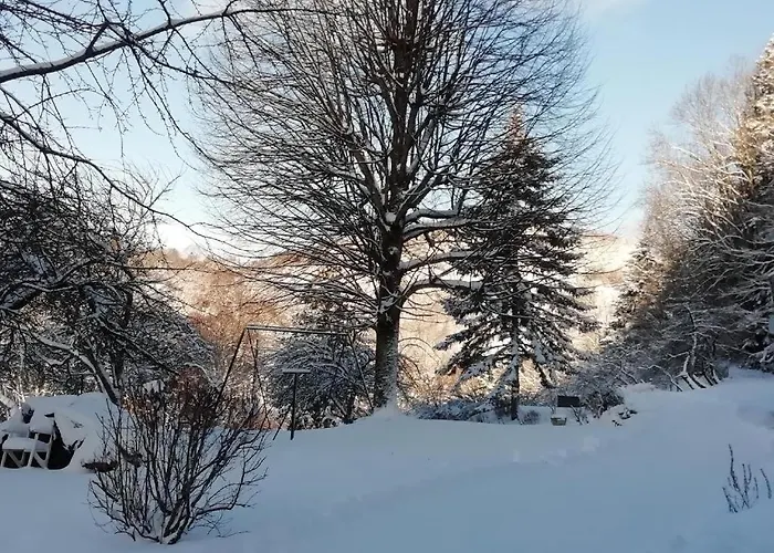 Le Logis Aux Digitales * La Croix-aux-Mines